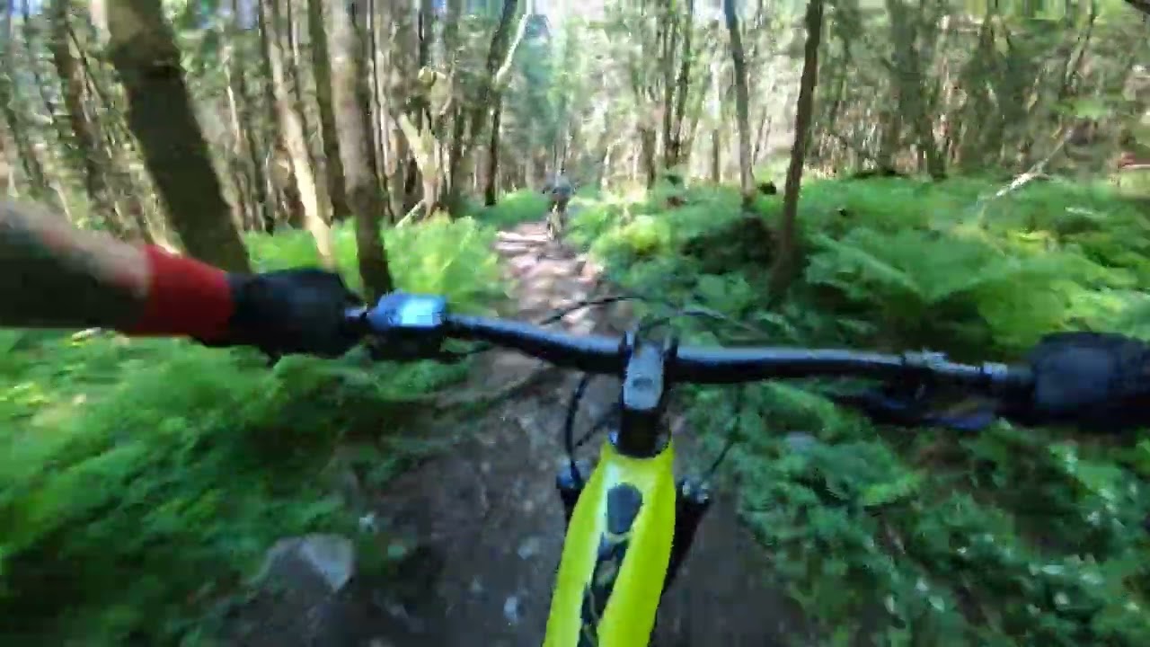 Voss MTB Storåsen Enduro / track review