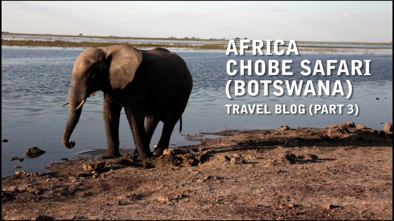 Africa - Chobe Safari (Botswana) Travel Vlog - Uncut (Part 3)