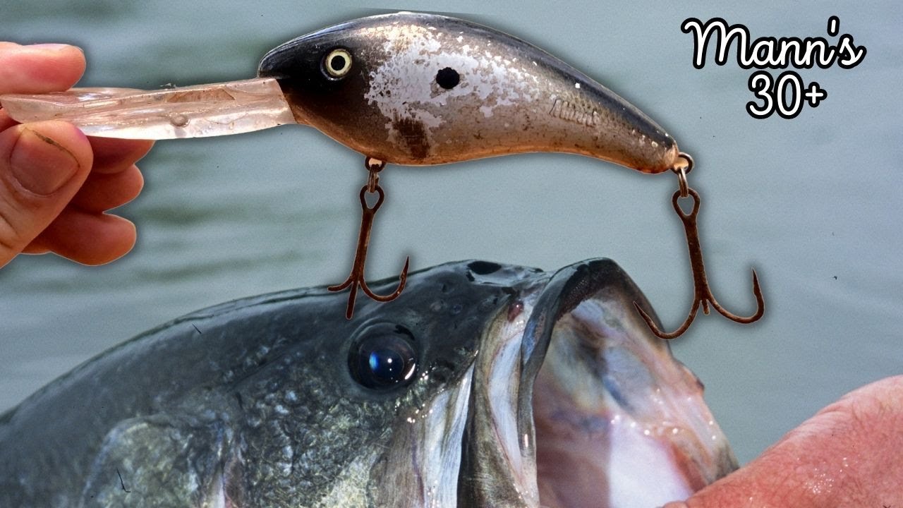Bass Fishing with Deep Diving Crankbaits! (South Georgia)