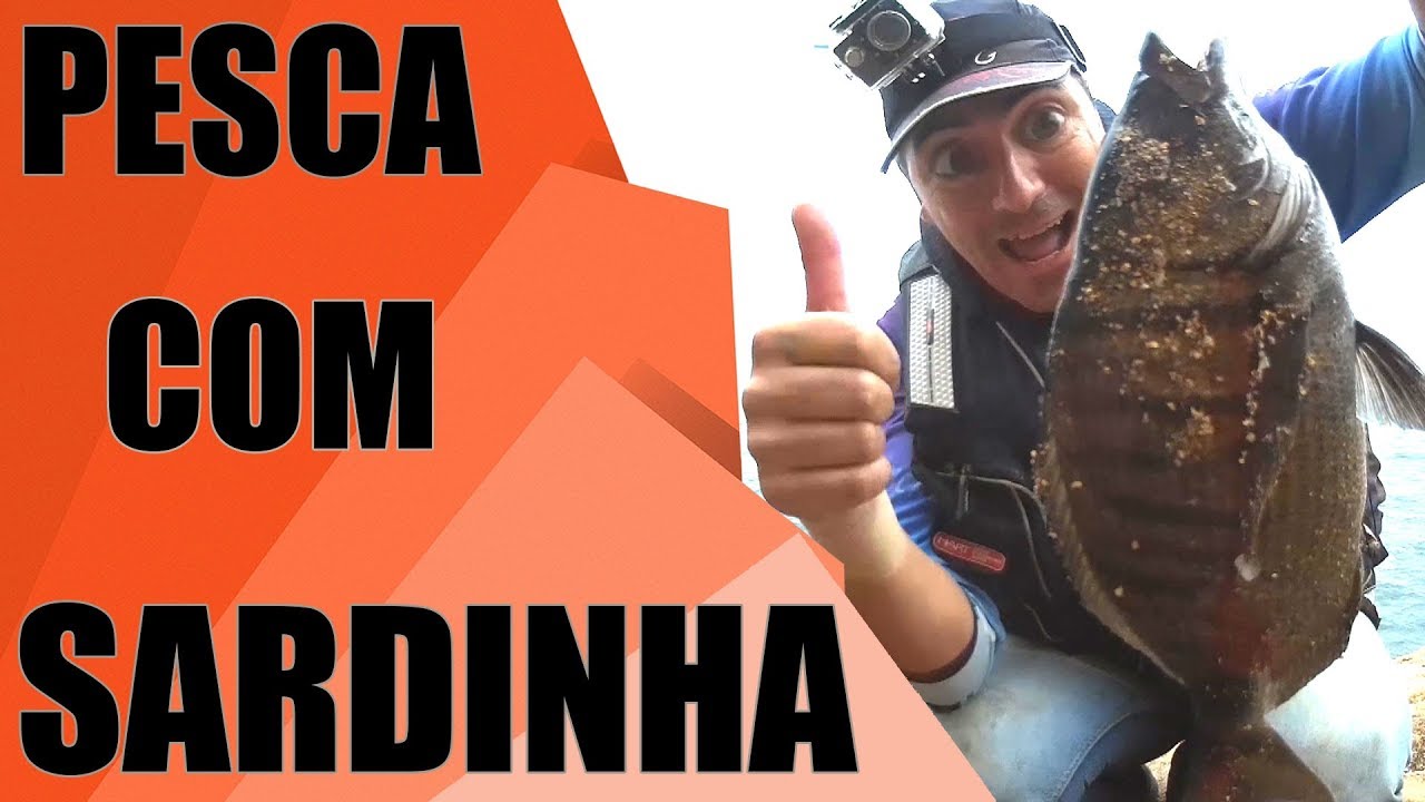 PESCA COM SARDINHA - SEGREDOS DE PESCA