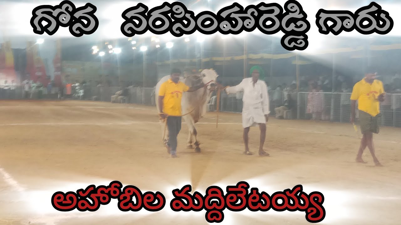 చిలకలూరిపేట. న్యూ కేటగిరి 6వ గోన నరసింహారెడ్డి గారు (అహోబిల మద్దిలేటి అయ్యా) కోట కందుకూరు నంద్యాల