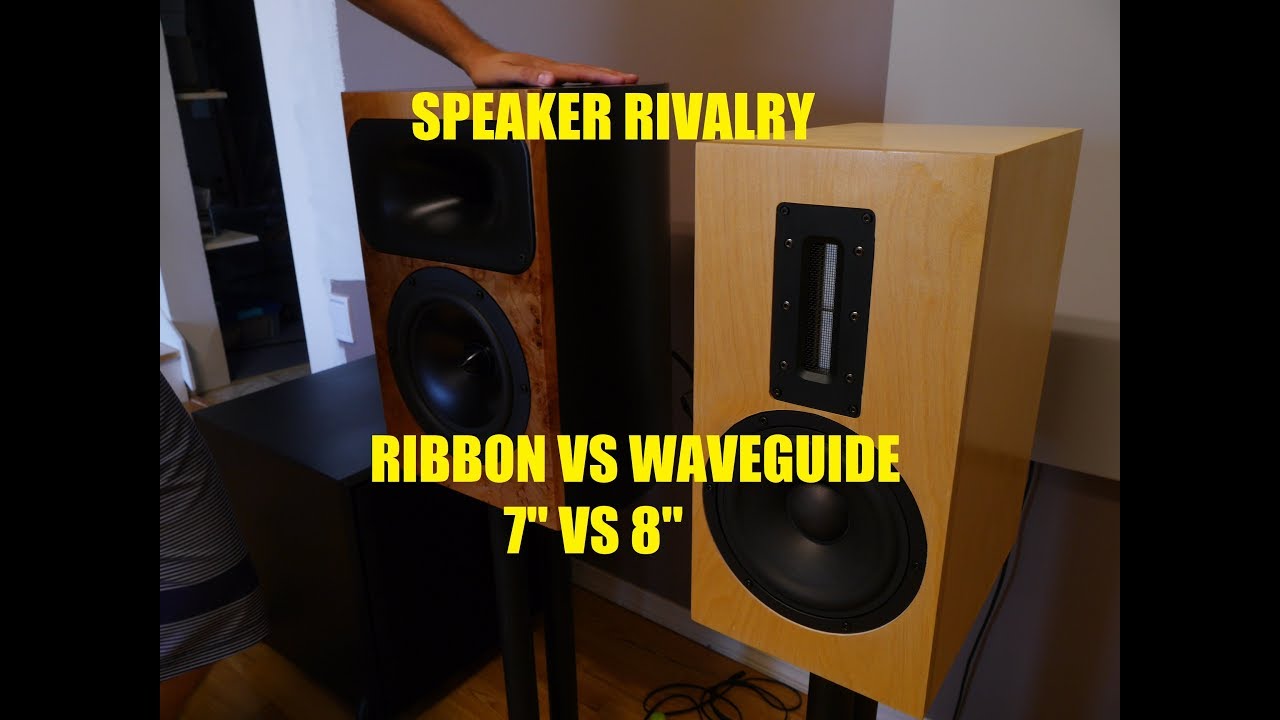 Mr. Dashpuppy and I Compare Speakers in My Basement