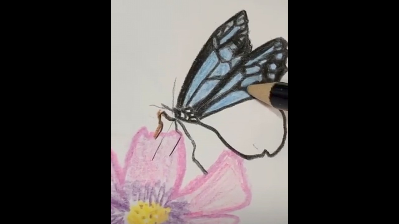 gg + ayano, cocoro and hottame showcase - Metamorphosis 20260315