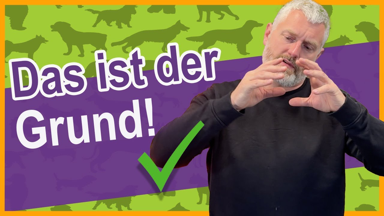 Kotabsatz nach Futterwechsel verändert 🐶🐱 I Tierarzt Dr. Gregor Berg