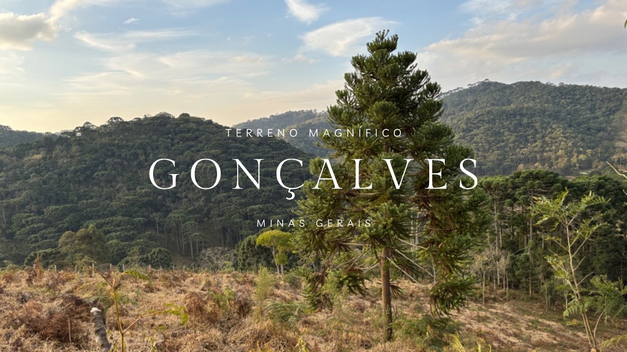 Terreno 4.4 ha - Magnífico - Gonçalves - MG