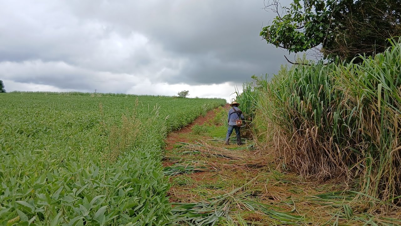 A Saga da velha estrada.
