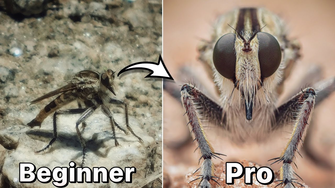 7 Common Macro Photography Mistakes | & How to Fix Them