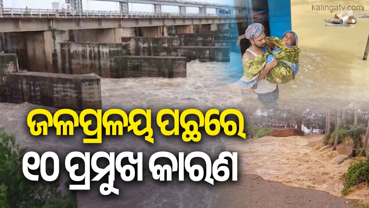Scientists Reveal 10 Key Reasons Behind Mahanadi and North Odisha Flood Crisis || Kalinga TV