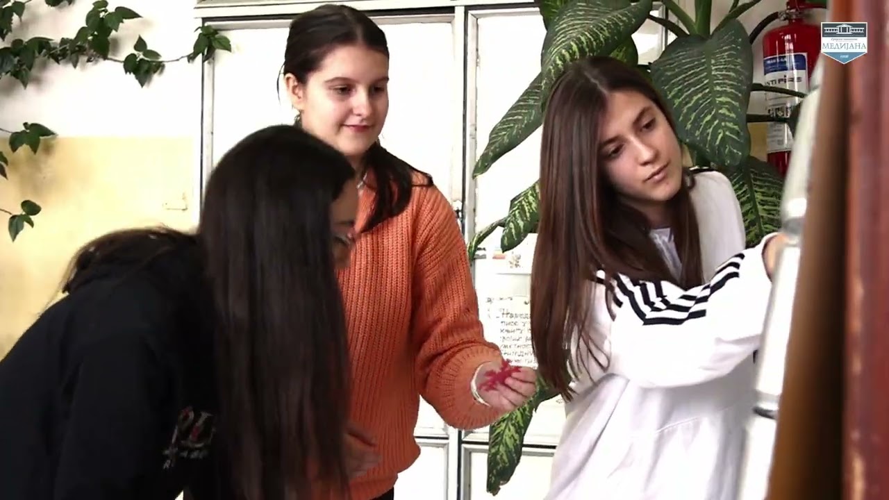 Медијана весник чистог града- Зимски изазов- Такмичење 26.12.2025. год.