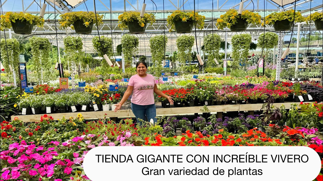 VISITO POR PRIMERA VEZ DEWAYNES VIVERO GIGANTE CON MUCHAS PLANTAS HERMOSAS