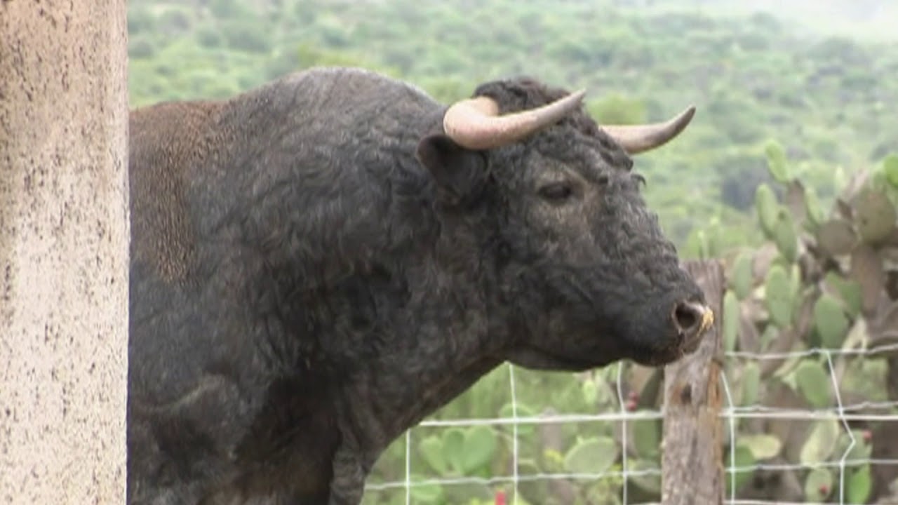 Edición del Programa ¨México Bravo¨ en la Hacienda de Estación Tepa.