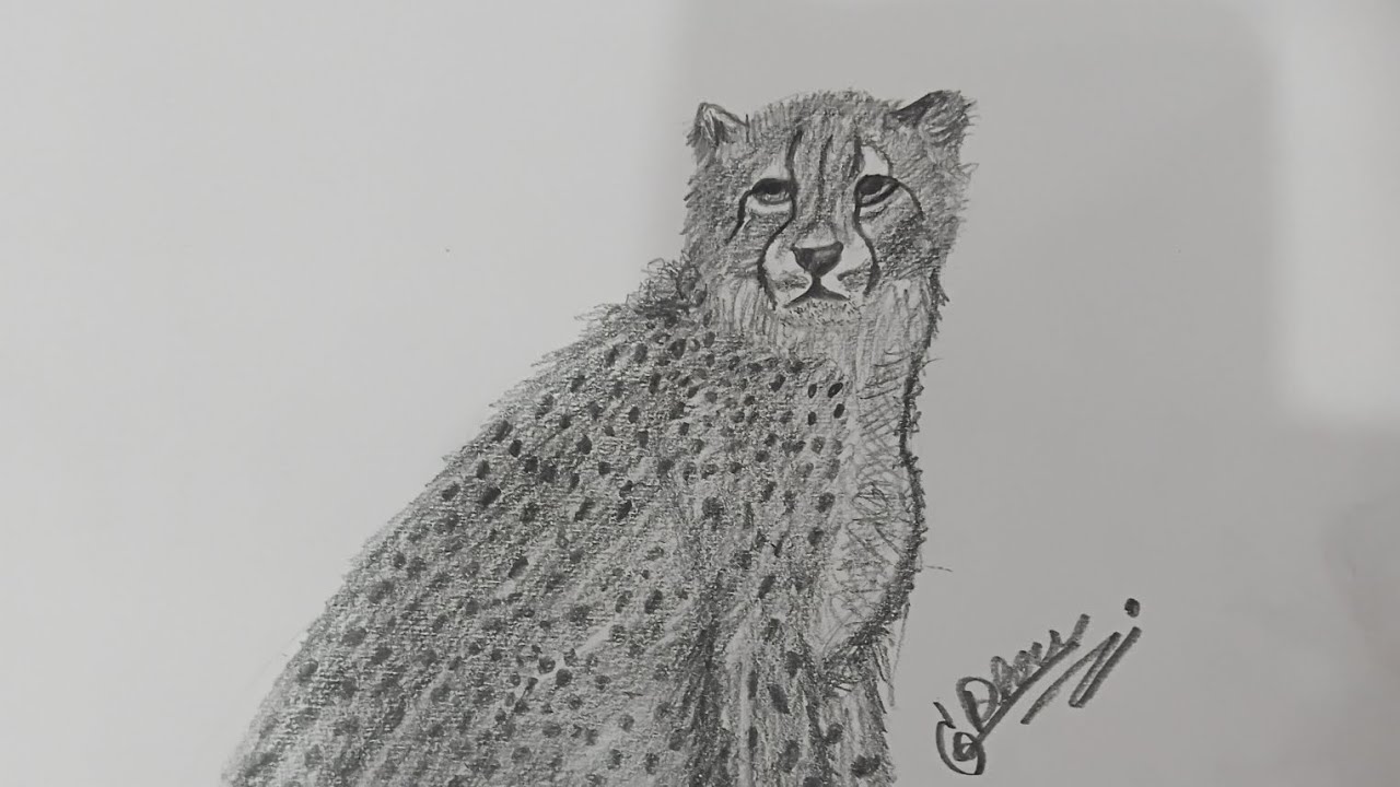 How to draw a cheetah 🐆 