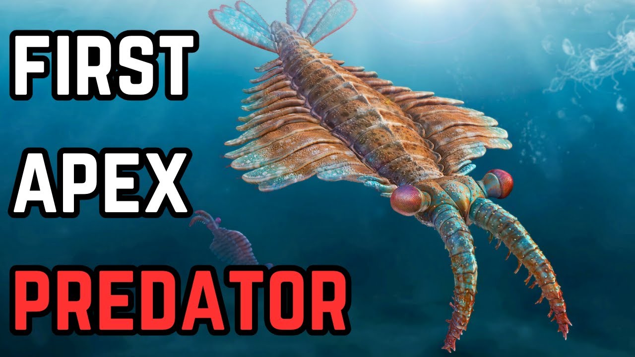 This Prehistoric Sea Monster Was Earth’s First Super-Predator