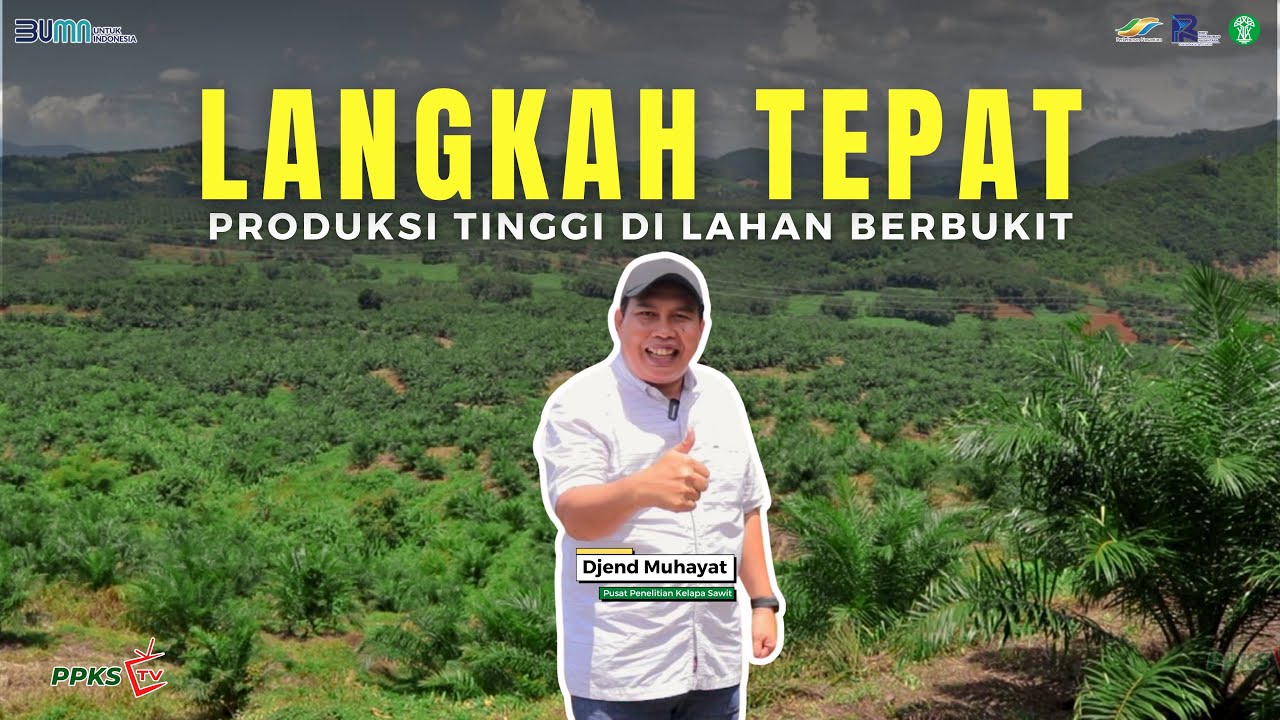 3 Tips Jitu! Menanam Sawit di Lahan Berbukit