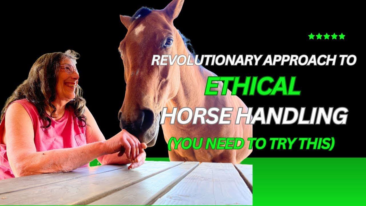 Revolutionary Approach to Ethical Horse Handling (You Need to Try This)