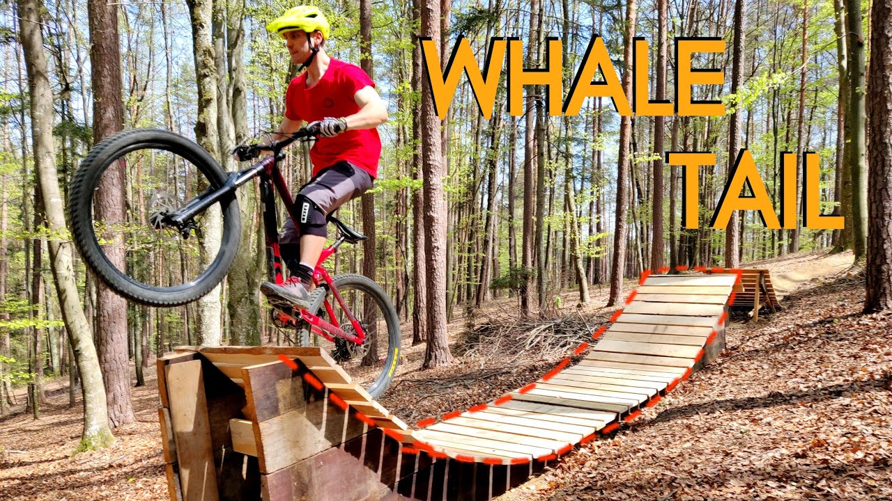 Whale Tail, ein Feature zum liebhaben | Tipps zum Bau und Testfahrten