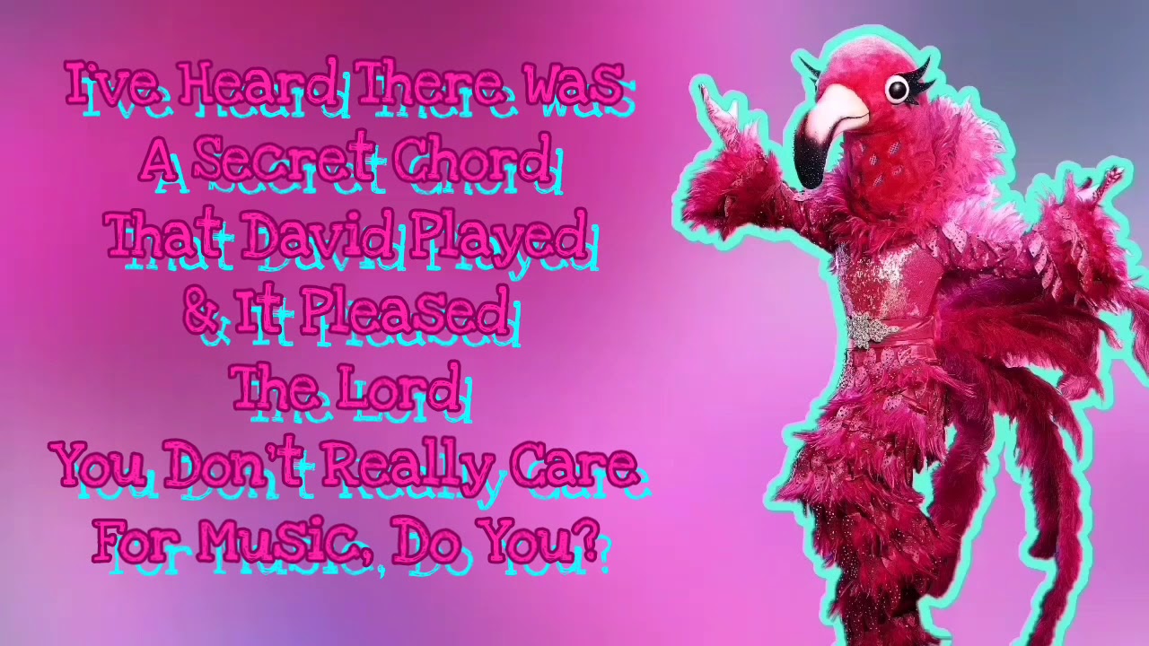 Flamingo Performs 