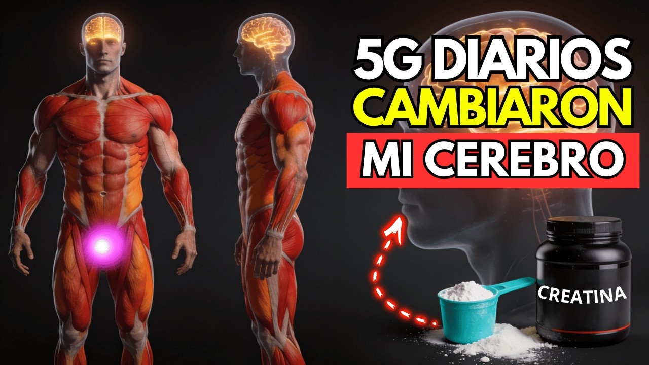 Lo Que 5g de Creatina Diarios Realmente Hacen en Tu Cerebro y Tu Cuerpo