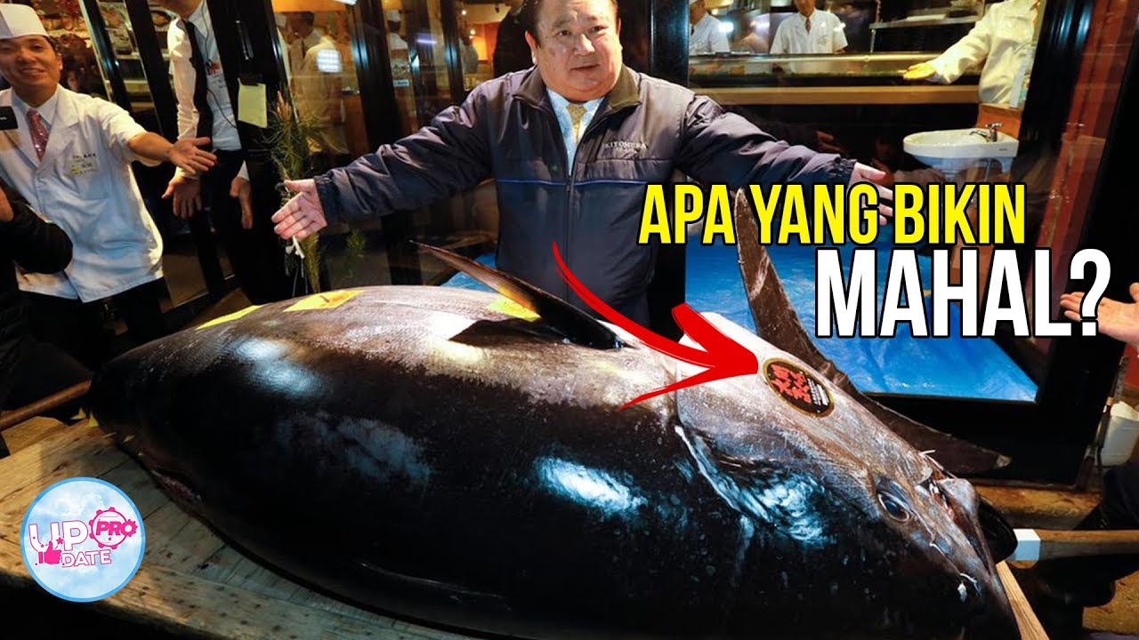 Ketika Pengusaha Berani Bayar Mahal Ikan Tuna Raksasa Hingga Miliaran