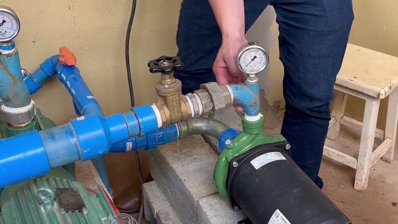 Irrigação no tomate em estufa