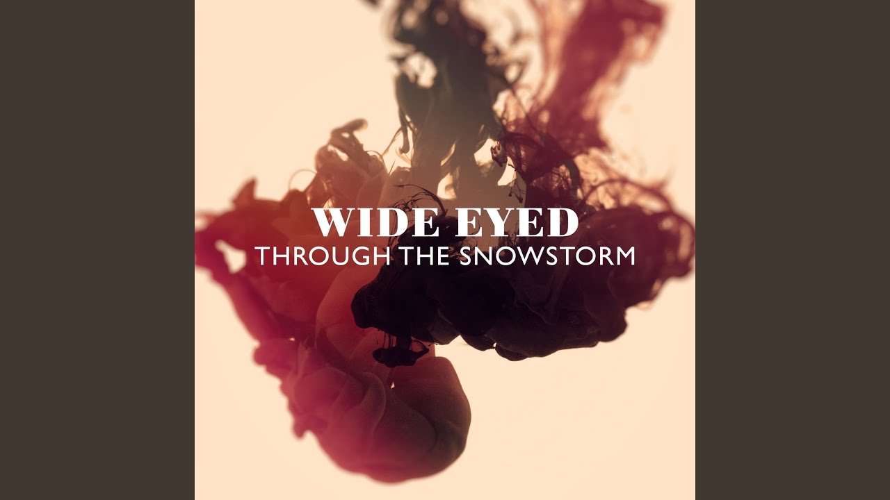 Through The Snowstorm