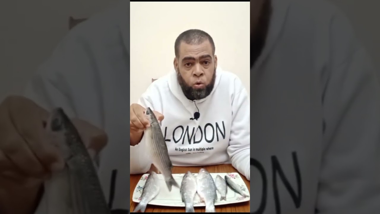 أعرف أنواع سمك البورى كلها وأفضلهم فى الأكل مع الشيخ سعد الحمراوى 🐟