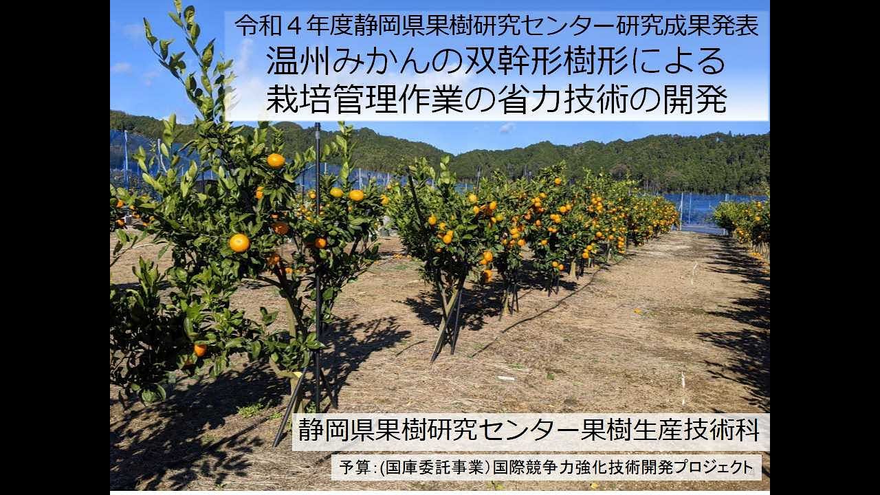 令和４年度静岡県果樹研究センター研究成果発表　温州みかんの双幹形樹形による栽培管理作業の省力技術の開発