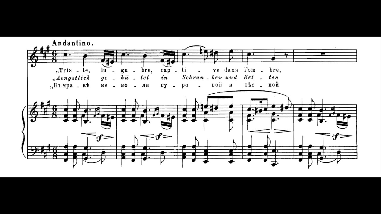 Modest Mussorgsky - Songs and Dances of Death for Soprano and Piano (1870's) [Score-Video]