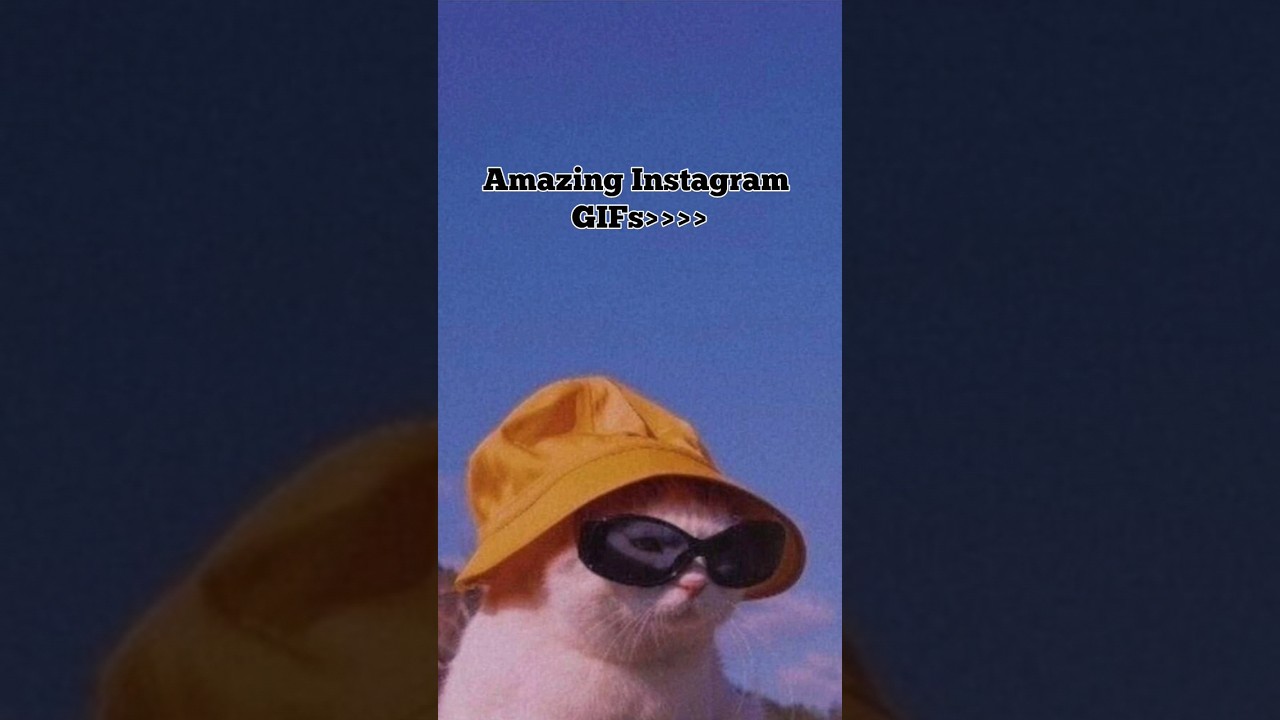 aesthetic insta gifs