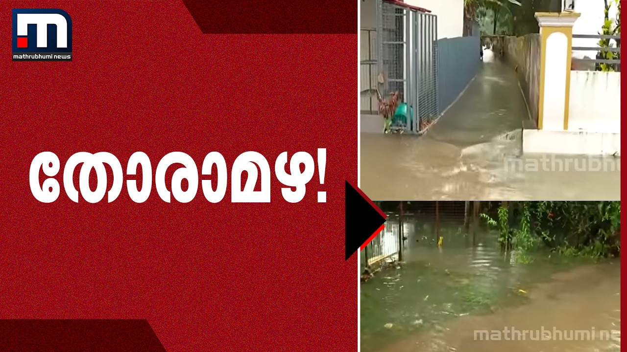 നാളെ എല്ലാ ജില്ലകളിലും മഴ മുന്നറിയിപ്പ്; നാലിടത്ത് റെഡ് അലർട്ട് | Kerala Rain | Red Alert