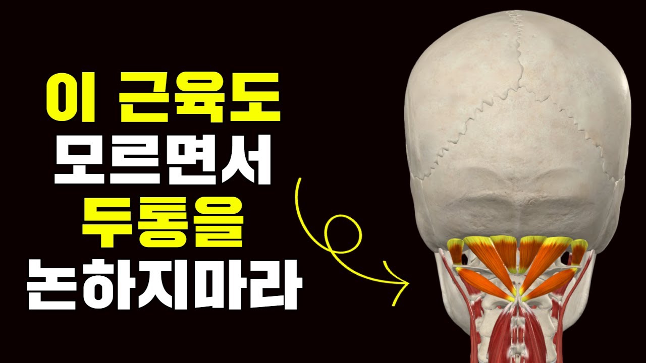 거북목 주목! 긴장성두통의 주범 후두하근 제대로 알고 운동하기 1편 (목통증을 위한 기능성운동)