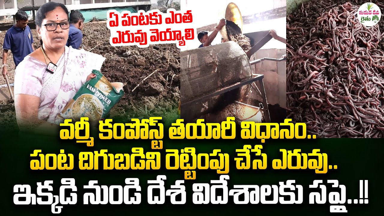 Vermicompost : వర్మీ కంపోస్ట్ తయారీని లైవ్ లో చుడండి | Organic Vermicompost Making Process | SumanTV