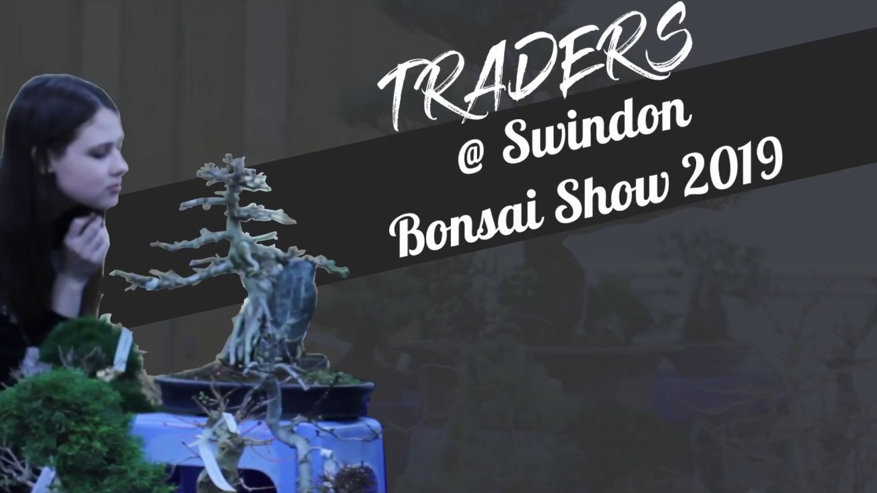 Bonsai Traders at Swindon UK 2019