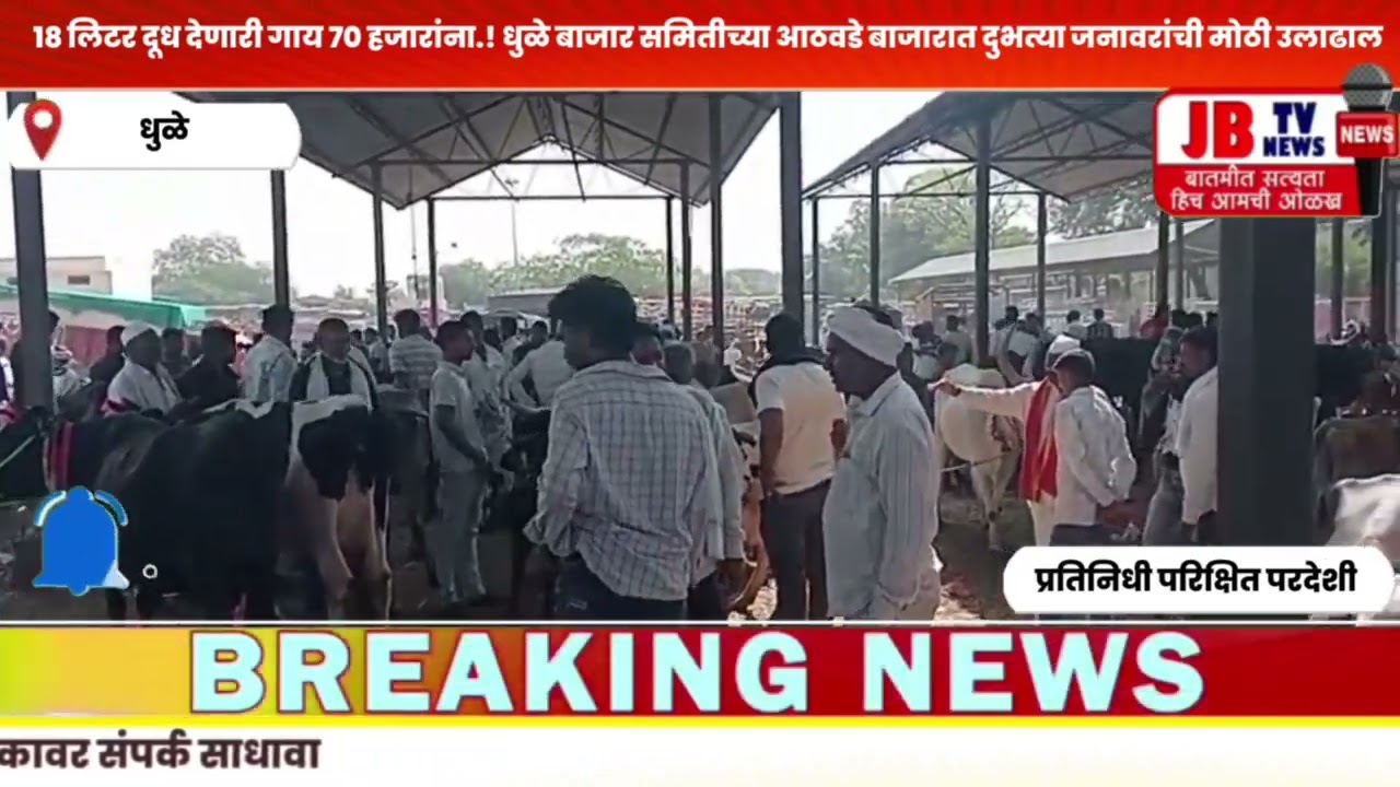 १८ लिटर दूध देणारी गाय ७० हजारांना.! धुळे बाजार समितीच्या आठवडे बाजार #jb #dhule #news #breaking 