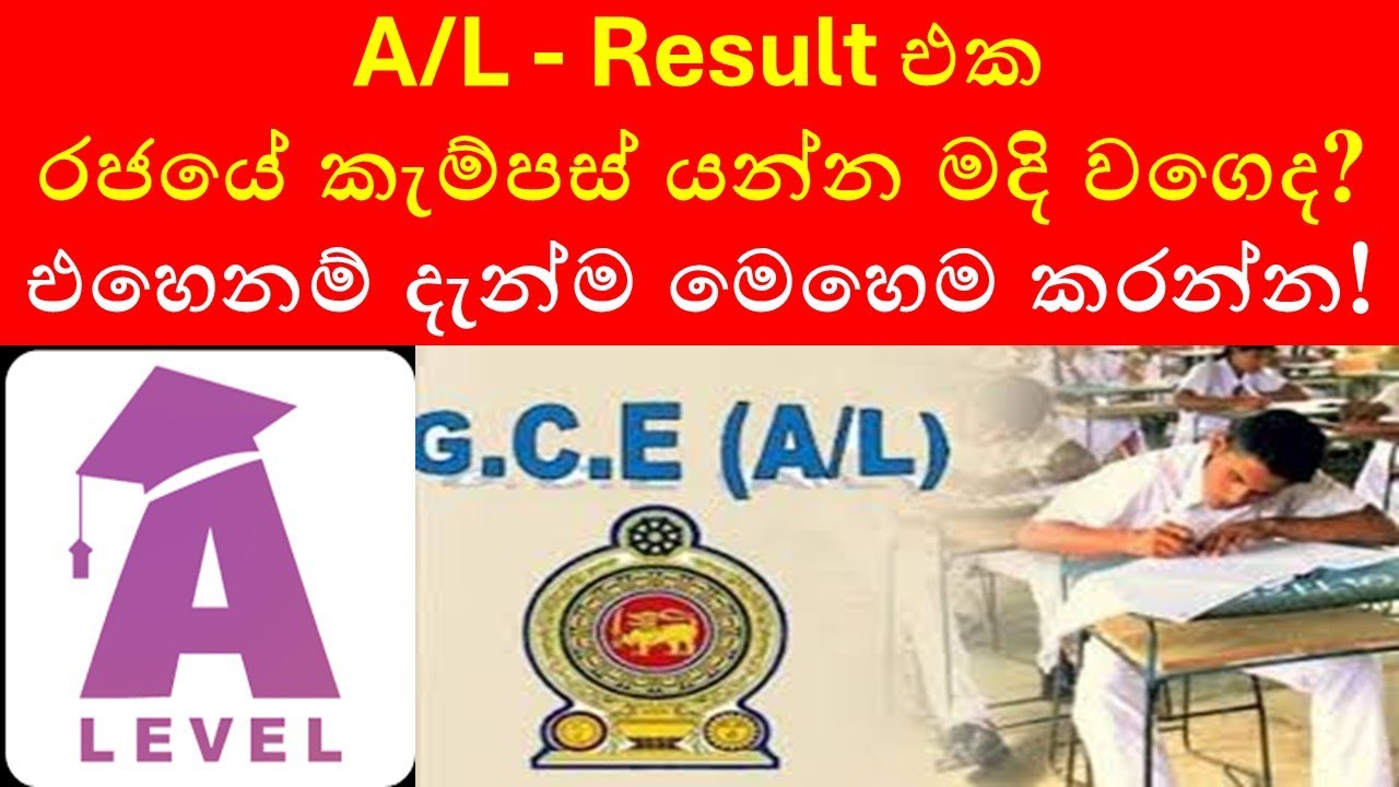 Missed University After A/Ls? | Best Education Options in Sri Lanka 2025 | Full Guide After A/L