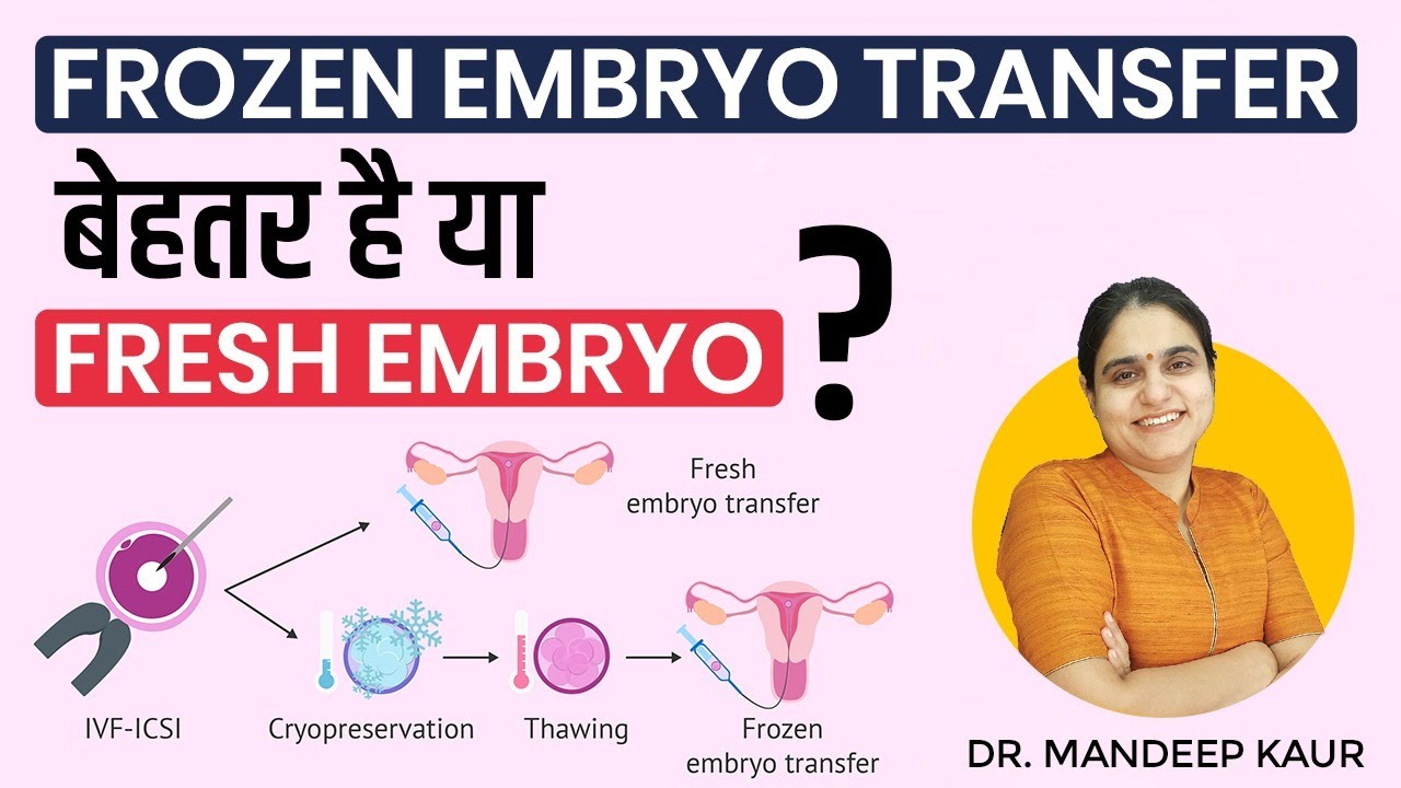 Frozen Vs Fresh Embryo Transfer | Which is Best, Difference, Benefits, कौन सा बेहतर है। (Hindi)