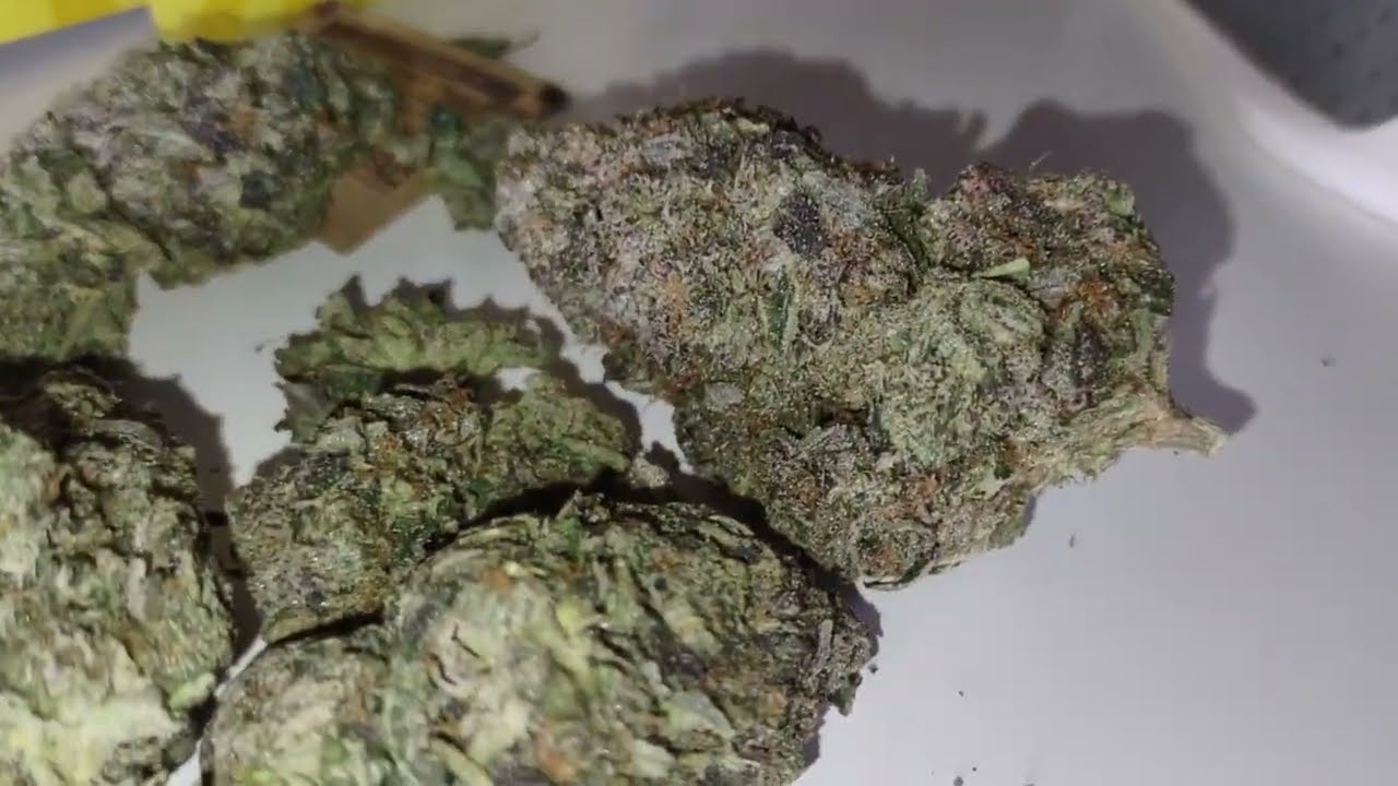 lowpricebud unboxing - gasleak Pink Rob Ford, greasy gas, QUAD PACK