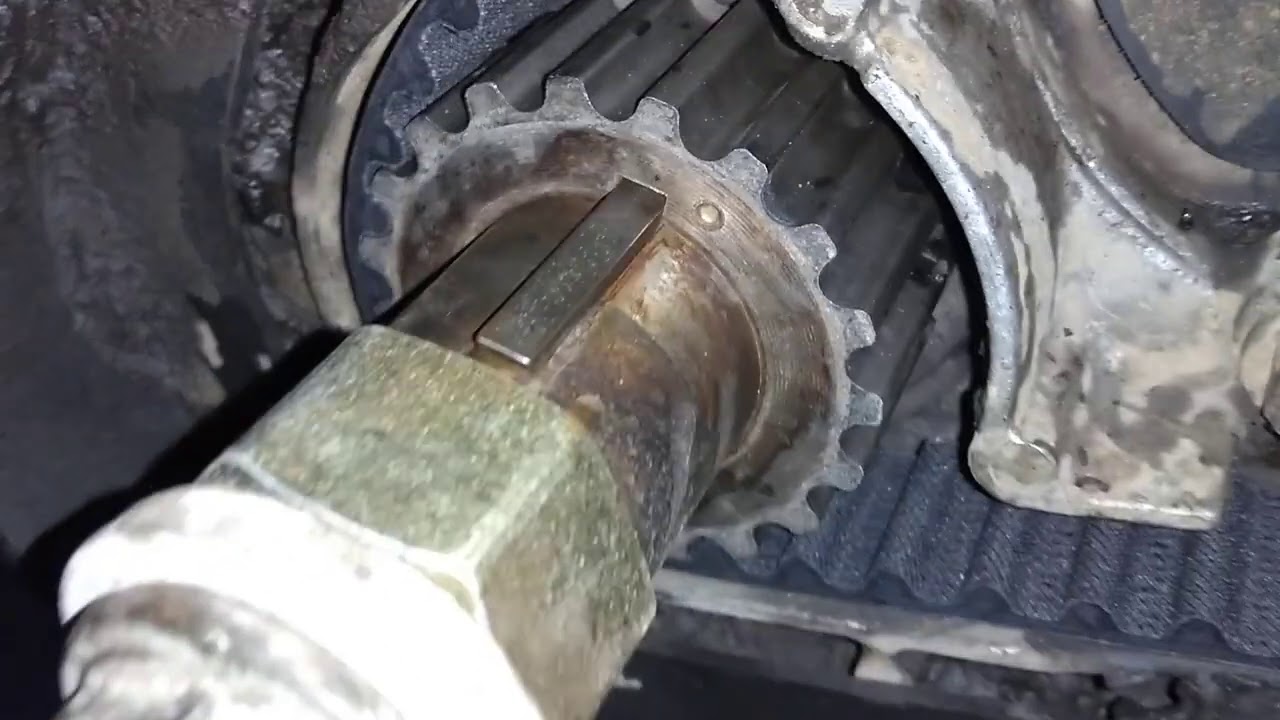 Ford Ranger 2.3 banda de tiempo timing belt(3)