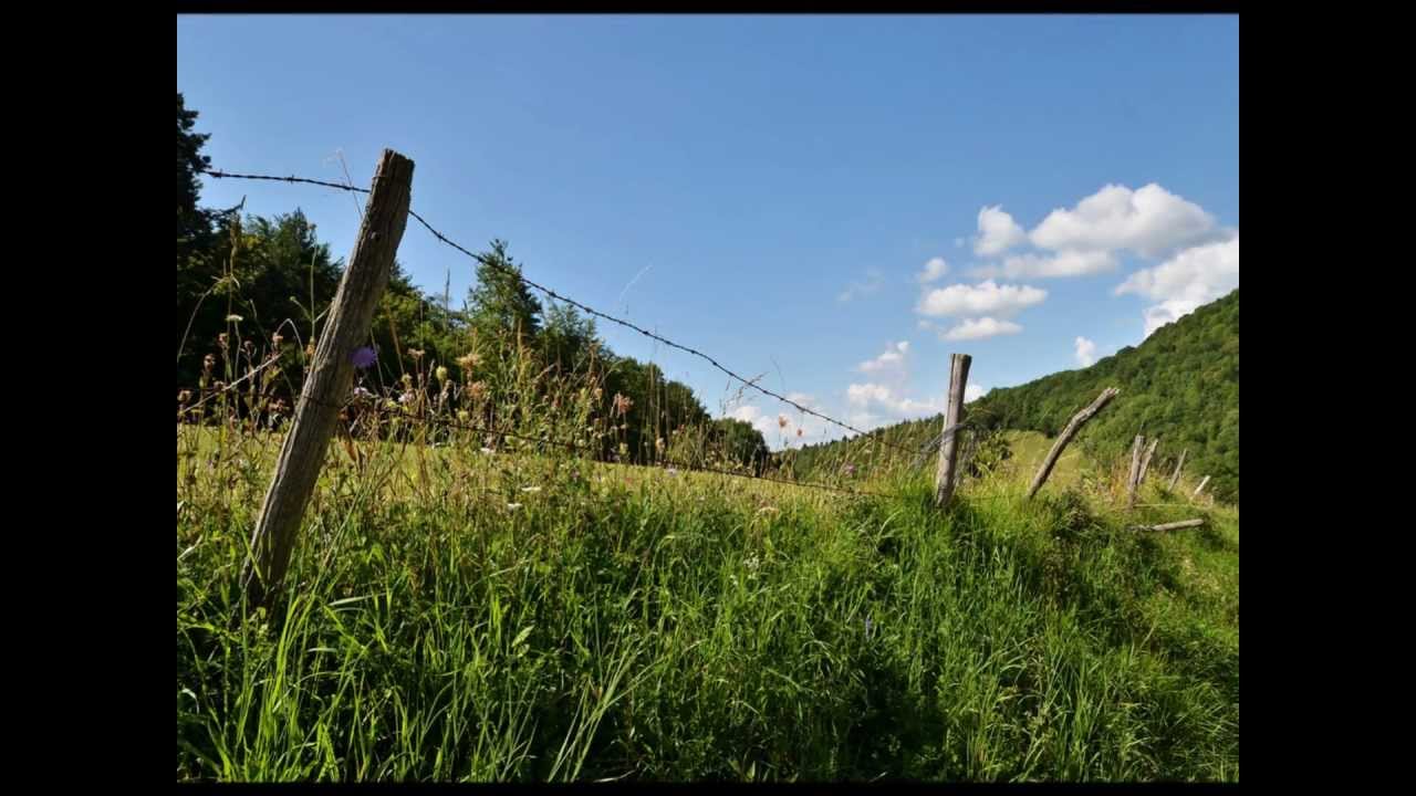Le Bugey