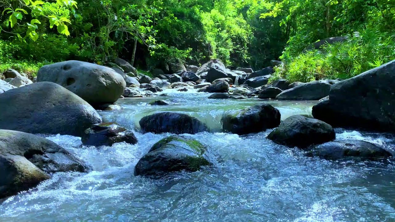 Relaxing River Stream Sounds for Deep Sleep and Peace