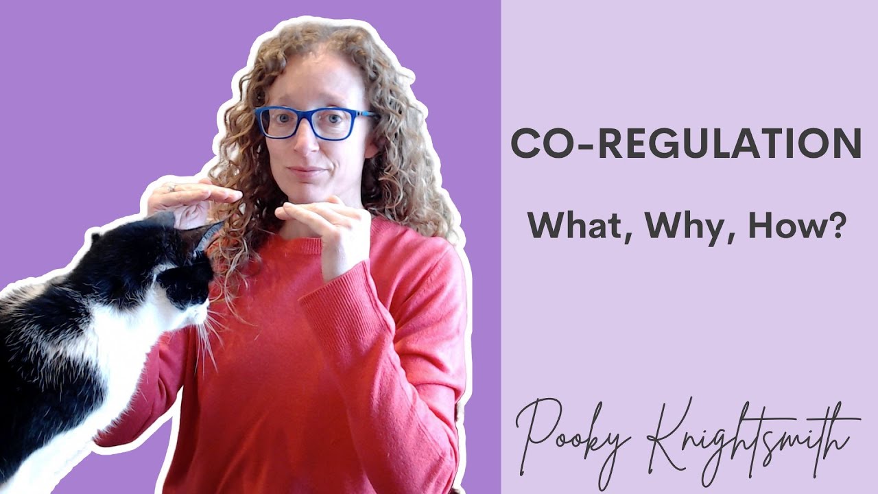 6 Steps to Effective Co-Regulation