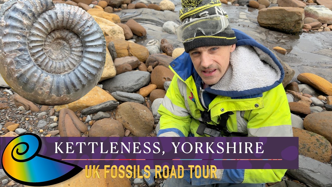 Fossil Hunting at Kettleness, Yorkshire | UK Fossils Road Tour