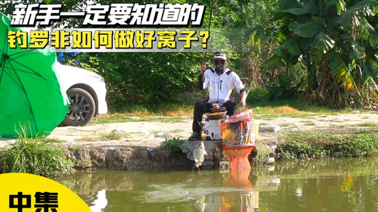 钓罗非如何把窝子做好养好？新手一定要记住这几点做窝原理！【游钓黑坑疯子】