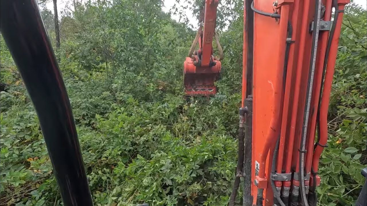 Осушение бобровой топи
