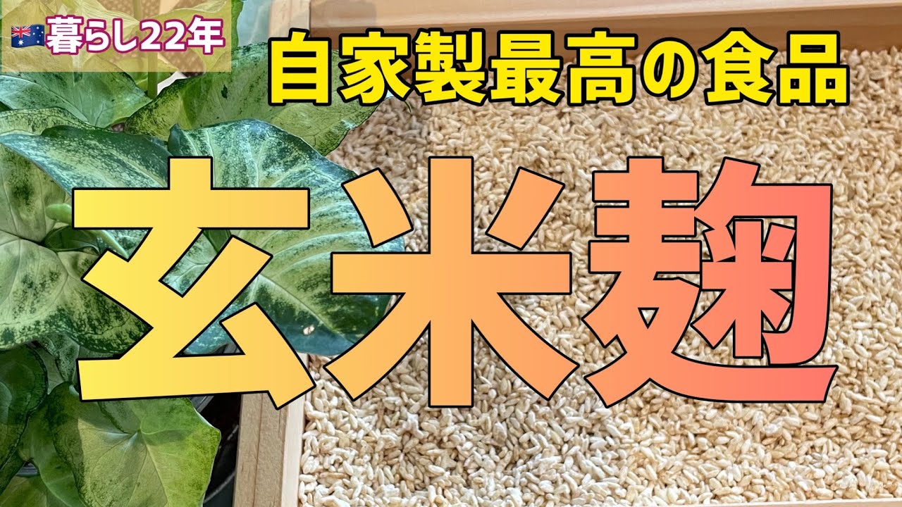 玄米麹作り方/玄米甘酒で作るスイーツ二品/100歳人生/失敗してしまっても大丈夫、下の説明欄で確認してね。How to make brown rice malt