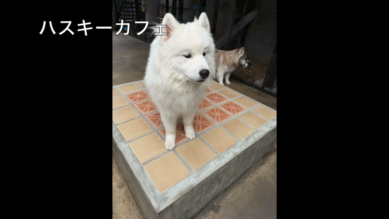 バンコク　20泊21日のタイ旅行　1〜2日