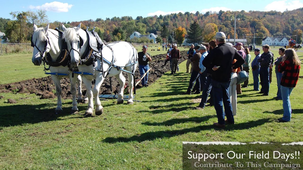 DRAFT ANIMAL POWER FIELD DAYS- INDIEGOGO CAMPAIGN