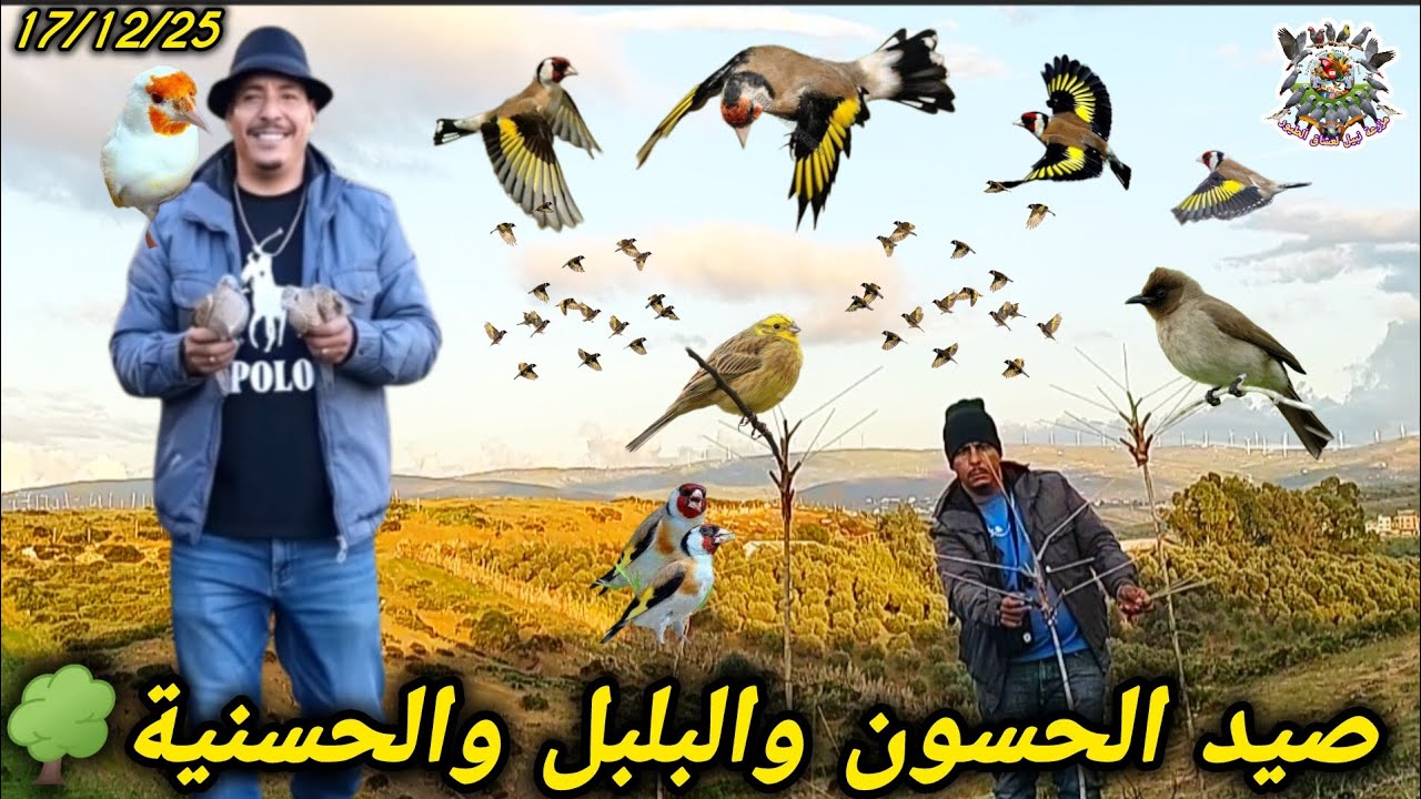 جبال الريف شمال المغرب روائع الطبيعة رحلة صيد الحسون والبلبل والعندليب 🐦🎶✨