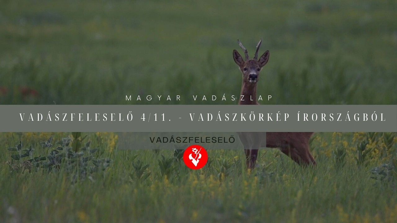 Vadászfeleselő 4/11. - Vadászkörkép Írországból