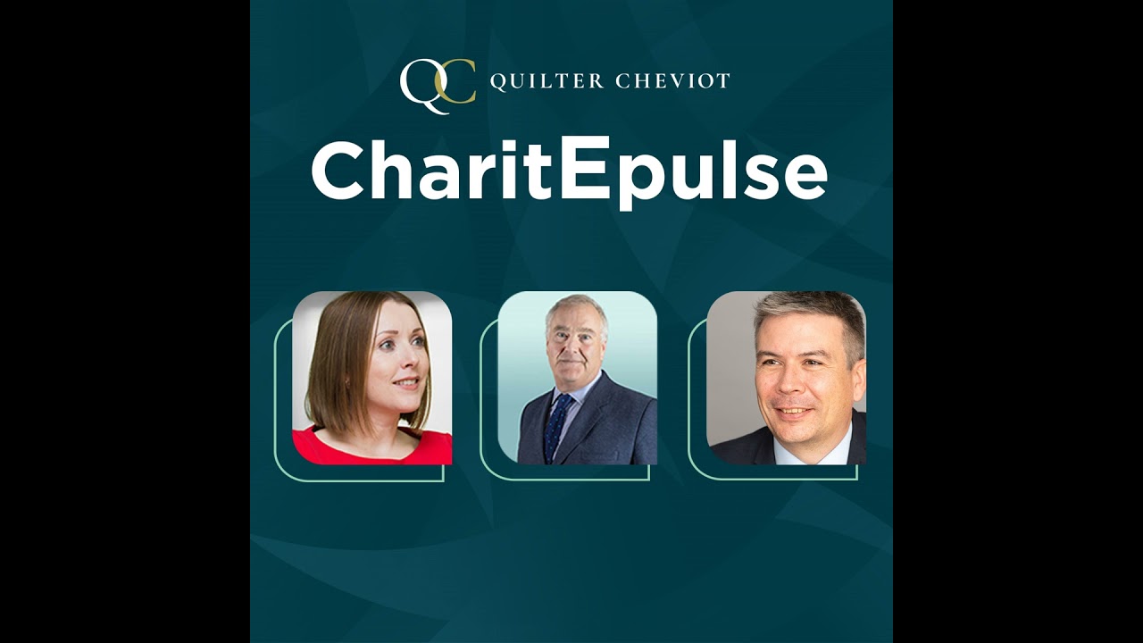 CharitEpulse: Diversity, disclosure and debt